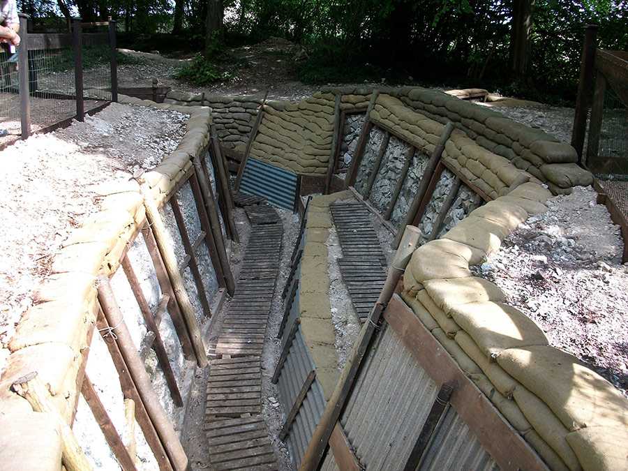 Thiepval Wood Alt Text