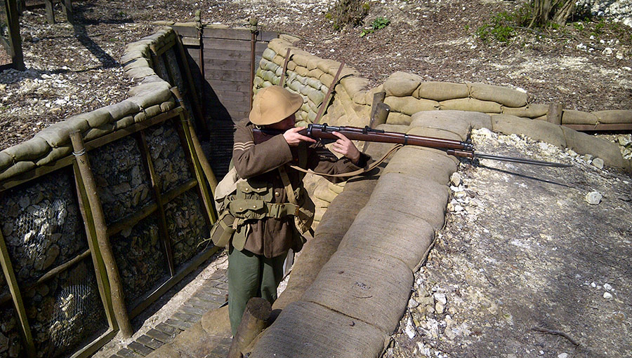 Thiepval Wood Alt Text